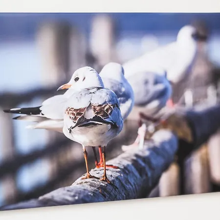 Im Haus Südermole * Esens